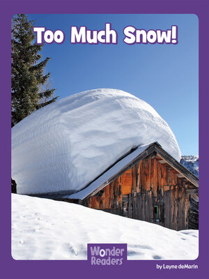 cover image of Too Much Snow